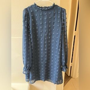 Swiss Dot Blue Dress with Cute Detailing and Puff Sleeves